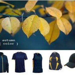 NAVY/GOLD
