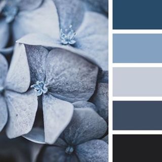 BLUE COLOURWAYS