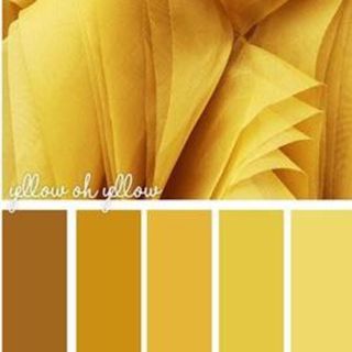 YELLOW COLOURWAYS
