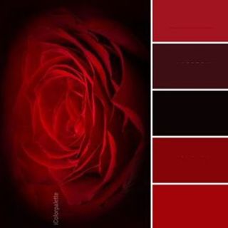 RED COLOURWAYS