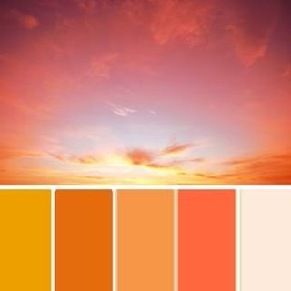 ORANGE COLOURWYAS