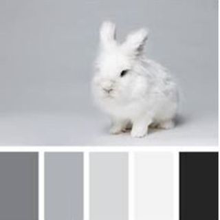 BLACK/WHITE COLOURWAYS